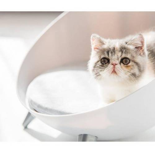 Bild von east2cart.uk Hemispherical Cat Bed