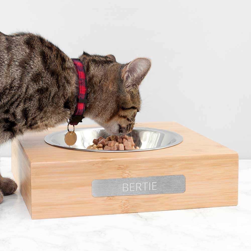 Bild von Treat Gifts Personalised Bamboo Pet Bowl